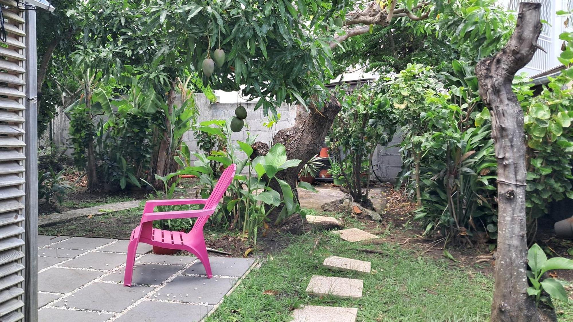 Agreable F2, Jardin, Garage, Fibre, Clim Ch Leilighet Fort-de-France Eksteriør bilde